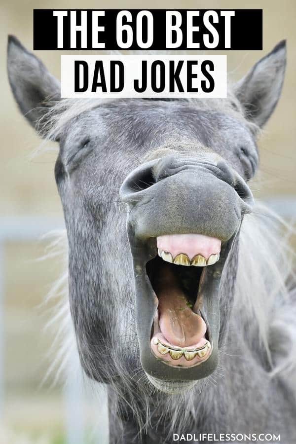 60 Best Dad Jokes So Funny Even the Wife will Laugh! Dad Life Lessons