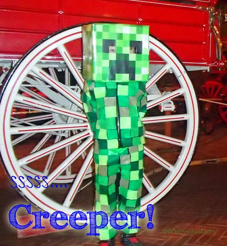 MineCraft Creeper DIY Halloween Costume for Kids
