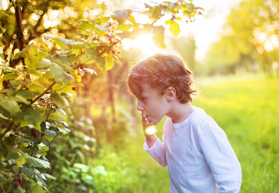 son eating berries