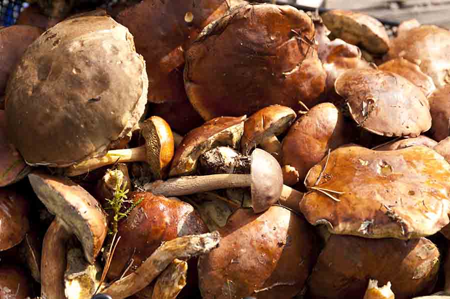 grilled mushrooms best foods to grill