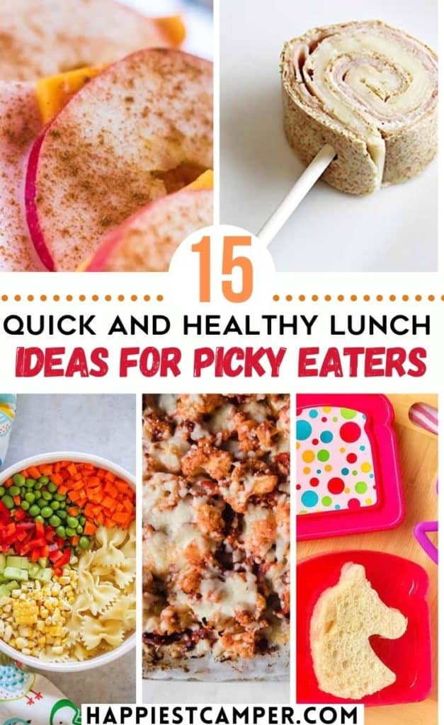 15 Quick and Healthy Lunch Ideas For Picky Eaters