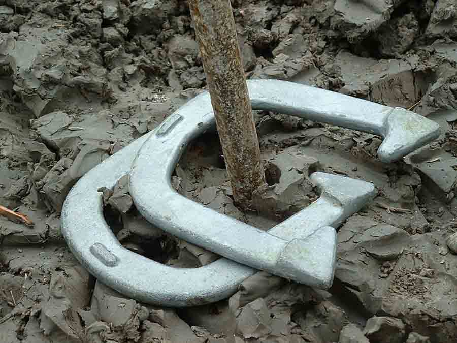 playing horseshoes game outside