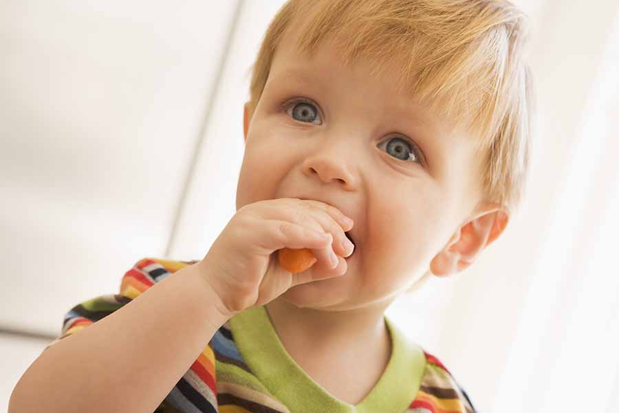 hummus toddler snack