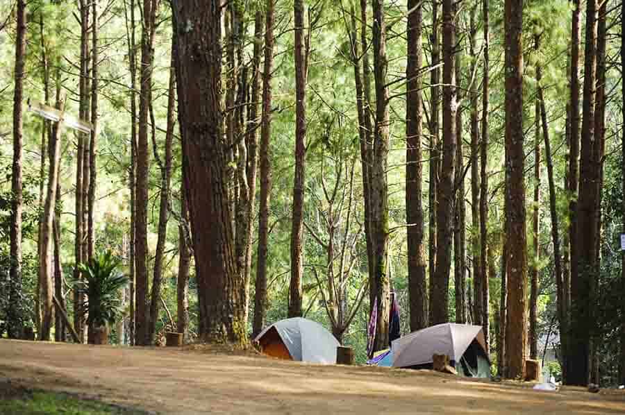 family with kids on camping trip